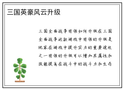 三国英豪风云升级